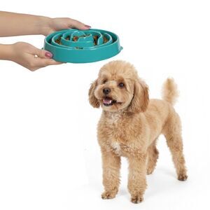 NWT Outward Hound Slo Bowl Turquoise Blue MEDIUM Slow Feeder Anti Bloat Dog Bowl